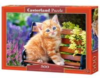castorland Ginger Kitten - Puzzle - 500 Teile