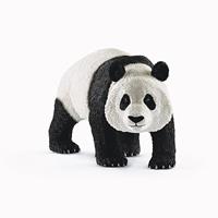 Bbm Mannelijke Reuze Panda