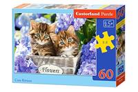 castorland Cute Kittens - Puzzle - 60 Teile