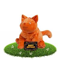 Happy Horse Verjaardag knuffel Dikkie Dik 30 cm met gratis verjaardagskaart Oranje