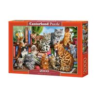 castorland House of Cats - Puzzle - 2000 Teile