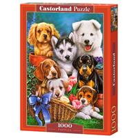 castorland Puppies - Puzzle - 1000 Teile