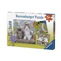 Ravensburger Verlag Ravensburger 08046 - Süße Samtpfötchen, Katzen, Katzenkinder, Kitten, Puzzle, Kinderpuzzle, 3x49 Teile