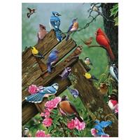 cobblehill Birds of the Forest (1000)