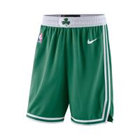 Nike Boston Celtics Icon Edition Swingman  NBA-herenshorts - Groen