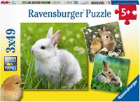 Ravensburger Verlag Ravensburger 08041 - Niedliche Häschen, 3x49 Teile, Puzzle