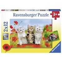 Ravensburger Puzzel Katjes op Ontdekkingsreis 2x12 Stukjes