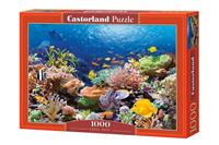 castorland Coral Reef Fishes,Puzzle 1000 Teile