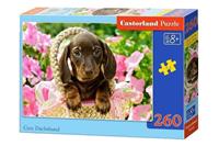 castorland Cute Dachshund - Puzzle - 260 Teile