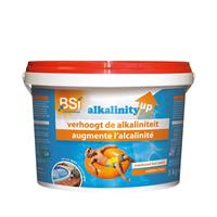 BSI Alkalinity up 5 kg