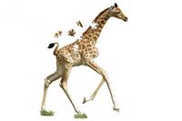 I AM Lil'Puzzel Giraf