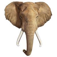 Carletto Deutschland; Madd Cap Carletto 883007 - MADD CAPP, Head-Shaped Puzzle, I AM ELEPHANT, Elefant, 700 Teile