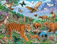 Larsen Rahmenpuzzle - Der Amur-Tiger im sibirischen Sommer 36 Teile Puzzle Larsen-FH39