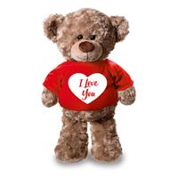 Bellatio Pluche knuffel teddybeer 24 cm met I Love You hartje t-shirt Multi