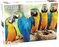 Tactic puzzel papegaaien 47 x 31 cm 500 stukjes