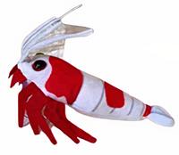 CeramicNature knuffel Chrystal Shrimp 24 cm pluche rood/wit