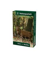 Quelle & Meyer Tiere des Waldes (Kartenspiel)