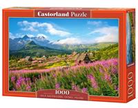 castorland Hala Gsienicowa, Tatras, Poland - Puzzle - 1000 Teile