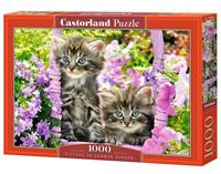 Selecta Kittens in summer garden - Puzzel (1000)