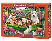 castorland Pets in the Park - Puzzle - 1000 Teile