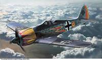 hasegawa Focke-Wulff FW 190A-4, Graf