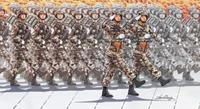 broncomodels PLA Special Force Soldier on National Day Parade