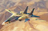 hobbyboss Persian Cat F-14A Tomcat - IRIAF