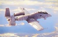 hobbyboss N/AW A-10A Thunderbolt II