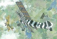 Roden Fokker D.VII (early)