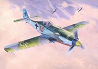 mistercraft Focke-Wulf Fw 190 D-9 Papagei Staffel