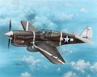 specialhobby P-40F Warhawk Guadalcanal Hawks