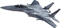hasegawa F15C Eagle, Ace Combat Zero