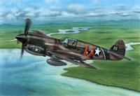 specialhobby P-40E Warhawk - Claws and Teeth