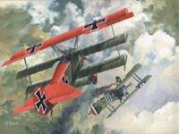 Roden Fokker Dr.I