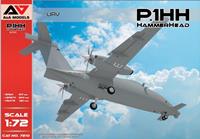 modelsvit P1.HH HammerHead UAV (experimental)