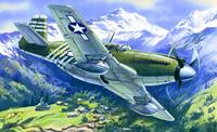icm P-51A Mustang USAF