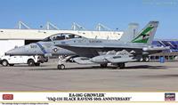 hasegawa EA-18G Growler VAQ-135 Black Ravens