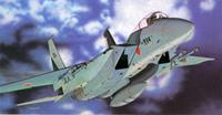 hasegawa F15J DJ Eagle JASDF