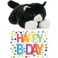 Cadeau setje pluche zwart/witte kat/poes knuffel 25 cm met Happy Birthday wenskaart -