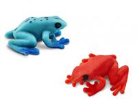 Safari Spielset Lucky Minis Giftfrosch 2,5 Cm Blau/rot 192 Stück