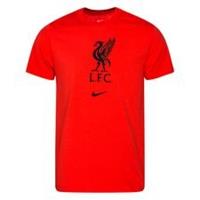 Nike Liverpool Evergreen 2020-2021