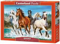 castorland Call of Nature - Puzzle - 2000 Teile