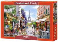 castorland Flowering Paris - Puzzle - 3000 Teile