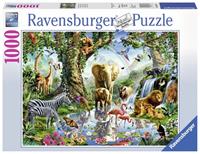 Ravensburger - Abenteuer im Dschungel