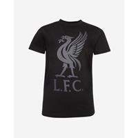 Liverpool FC Liverpool T-shirt Liverbird - Zwart/Grijs Kinderen