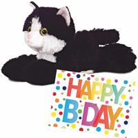 Aurora Pluche knuffel kat/poes zwart/witte 20 cm met A5-size Happy Birthday wenskaart -