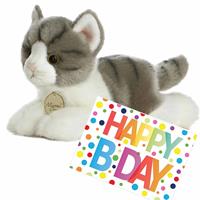 Aurora Pluche knuffel kat/poes grijs/witte 20 cm met A5-size Happy Birthday wenskaart -