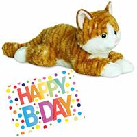 Aurora Pluche knuffel kat/poes rood 30 cm met A5-size Happy Birthday wenskaart -