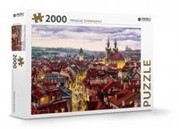 Rebo Productions legpuzzel Prague Symphony 2000 stukjes