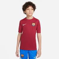 NIKE FC Barcelona Kinder DF STRKE TOP SS,NOBLE RED/N noble red/noble red/pale ivory XL (- cm)